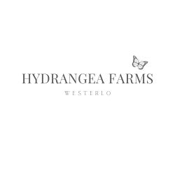 Hydrangea Farms Westerlo